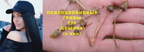 спайс Алзамай