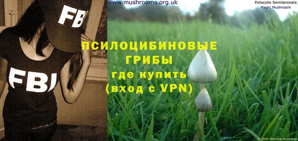 спайс Алзамай