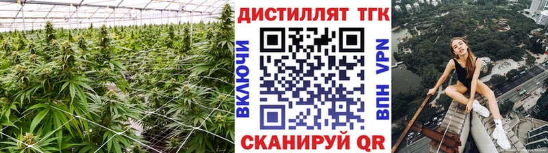 магазин продажи   Алексин  ТГК вейп 