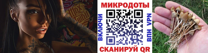 Псилоцибиновые грибы ЛСД  сайты даркнета состав  Алексин 